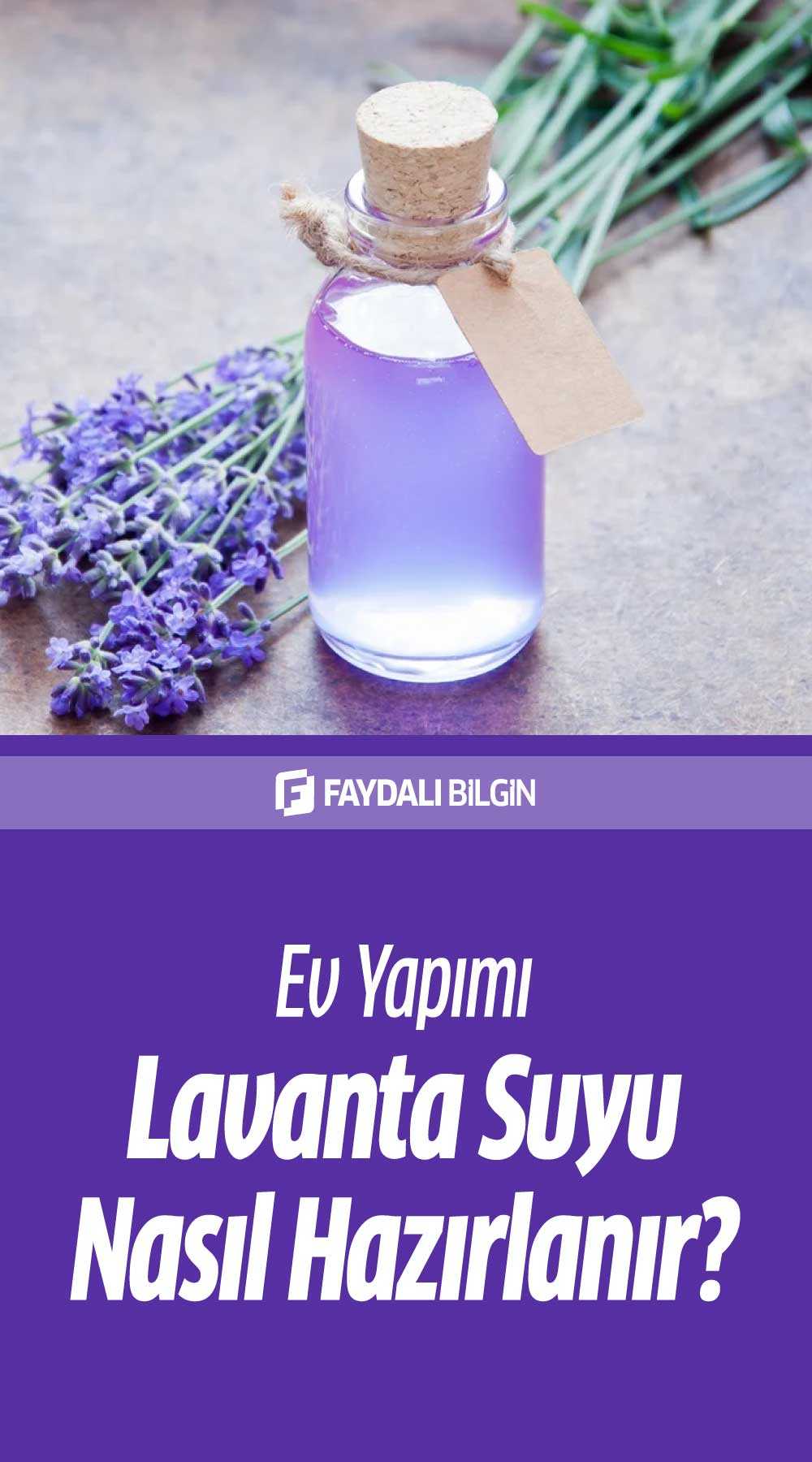 evde lavanta suyu nasıl yapılır? lavanta suyunun 5 faydası