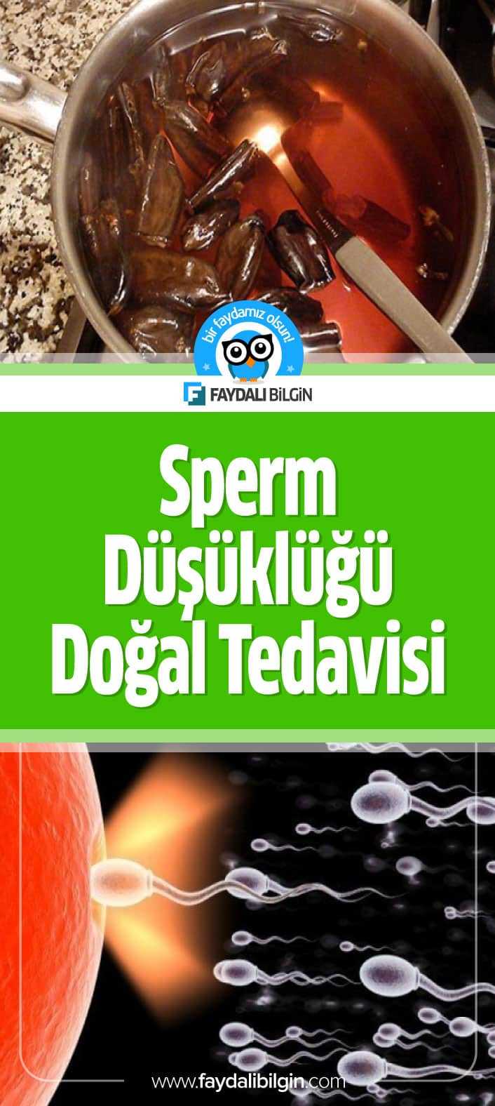 Prof. Saraçoğlu İle Ruh Ve Beden Sağlığı programında sperm düşüklüğü ve spermde şekil bozukluğuna karşı kür tarifi veriyor. #sperm #spermdüşüklüğü #doğal #tedavi #erkek #cinsel #sağlık