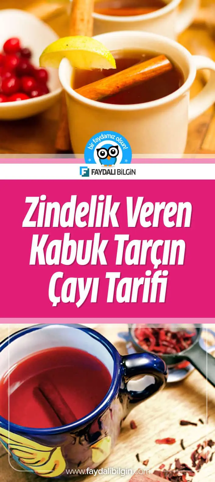 zindelik veren kabuk tarçın çayı