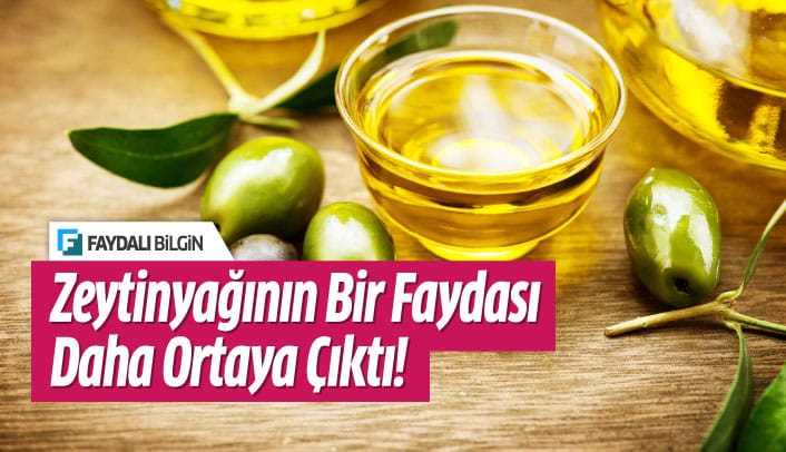 Zeytinyağının Faydaları Nelerdir? Kullanım Alanları - Faydalı Bilgin