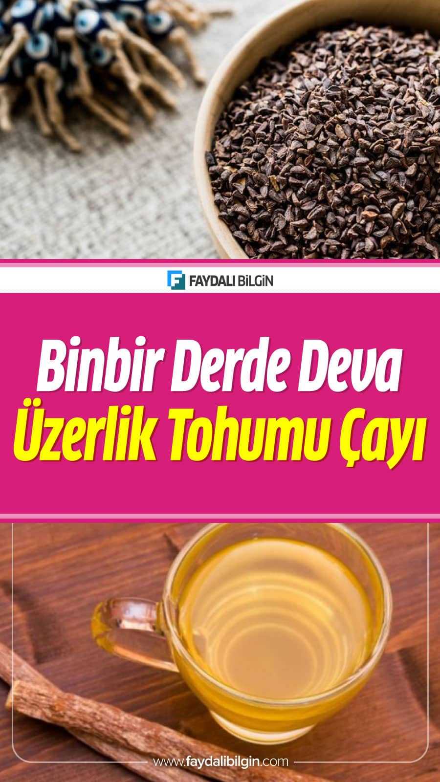 Üzerklik Tohumunun Faydaları, Kullanımı ve Üzerklik Tohumu çayı tarifi. İşte Üzerklik otu hakkında tüm detaylar haberimizde.