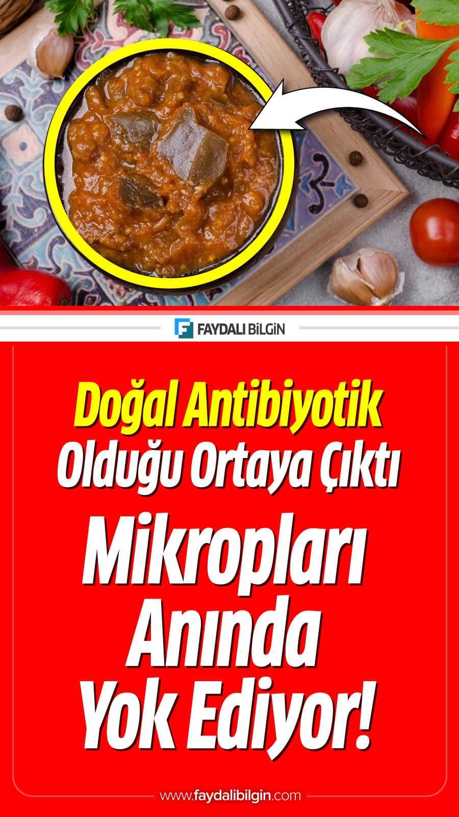 doğal antibiyotik özelliği olan besinler