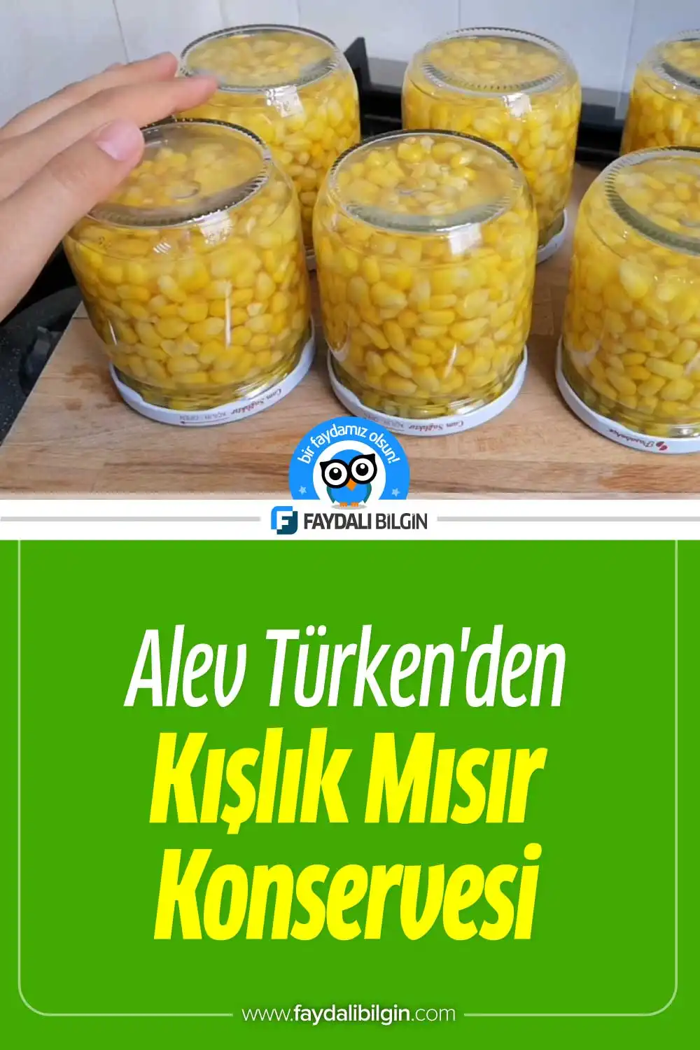 alev türken\'den kışlık mısır konservesi tarifi