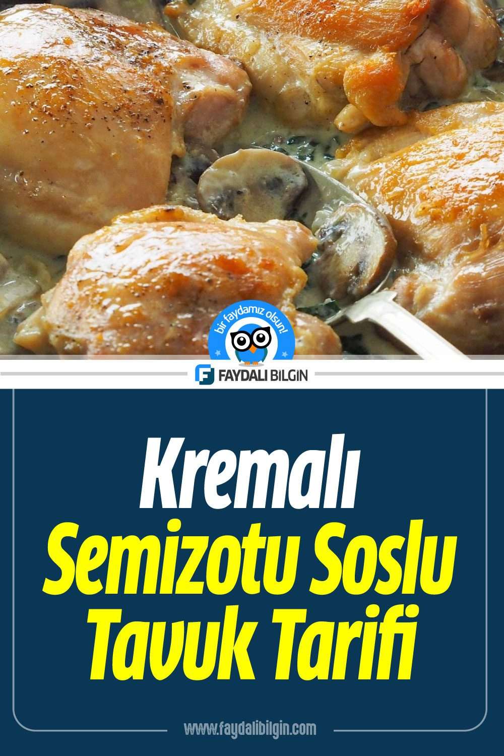 kremalı semizotu soslu tavuk tarifi