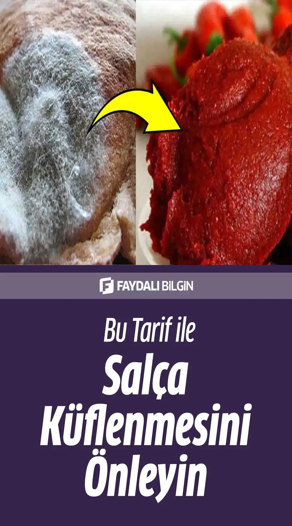 salça küflenmesi nasıl önlenir?