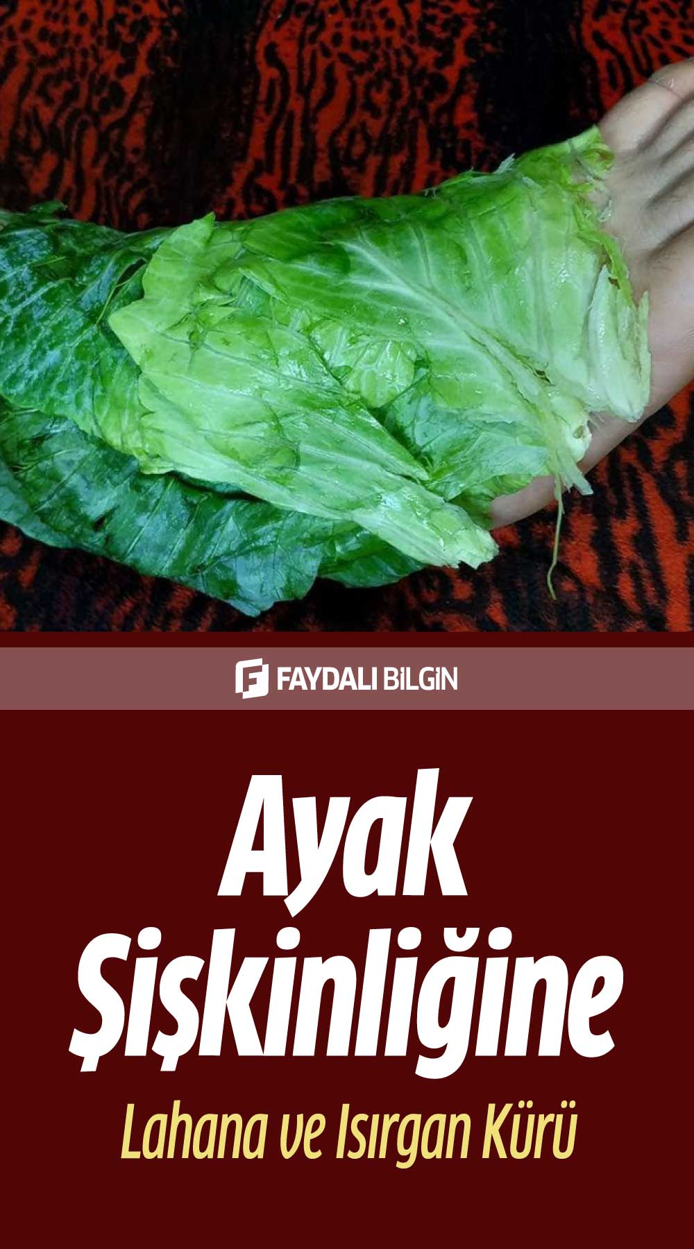 ayak şişkinliğine lahana ve isırgan otu kürü