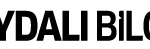 Mobil Logo