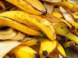 Muz Kabuklarını Sakın Çöpe Atmayın!