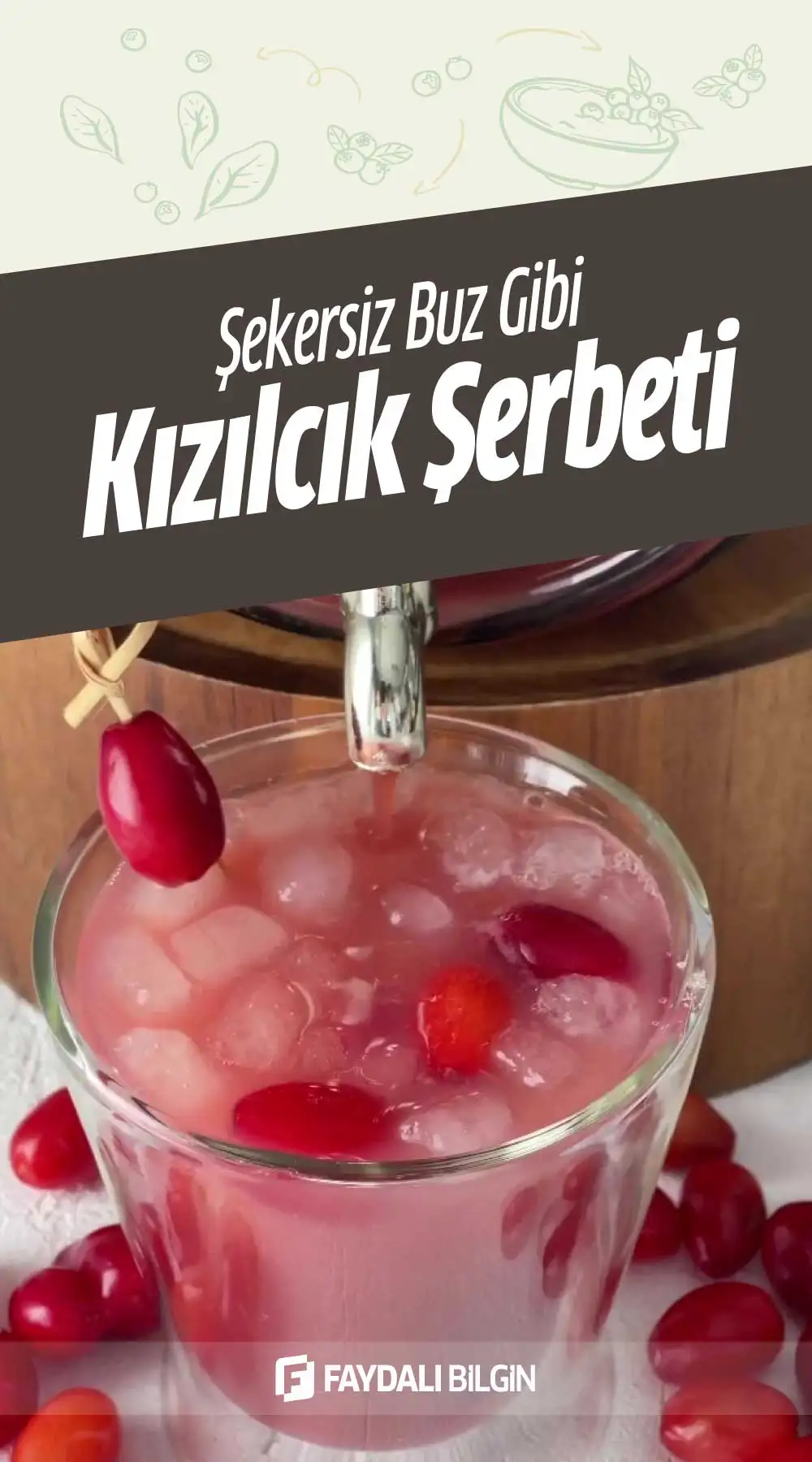 şekersiz buz gibi kızılcık şerbeti tarifi